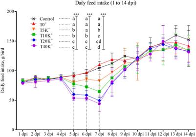 Effects of Eimeria maxima infection doses on growth performance and gut health in dual-infection model of necrotic enteritis in broiler chickens